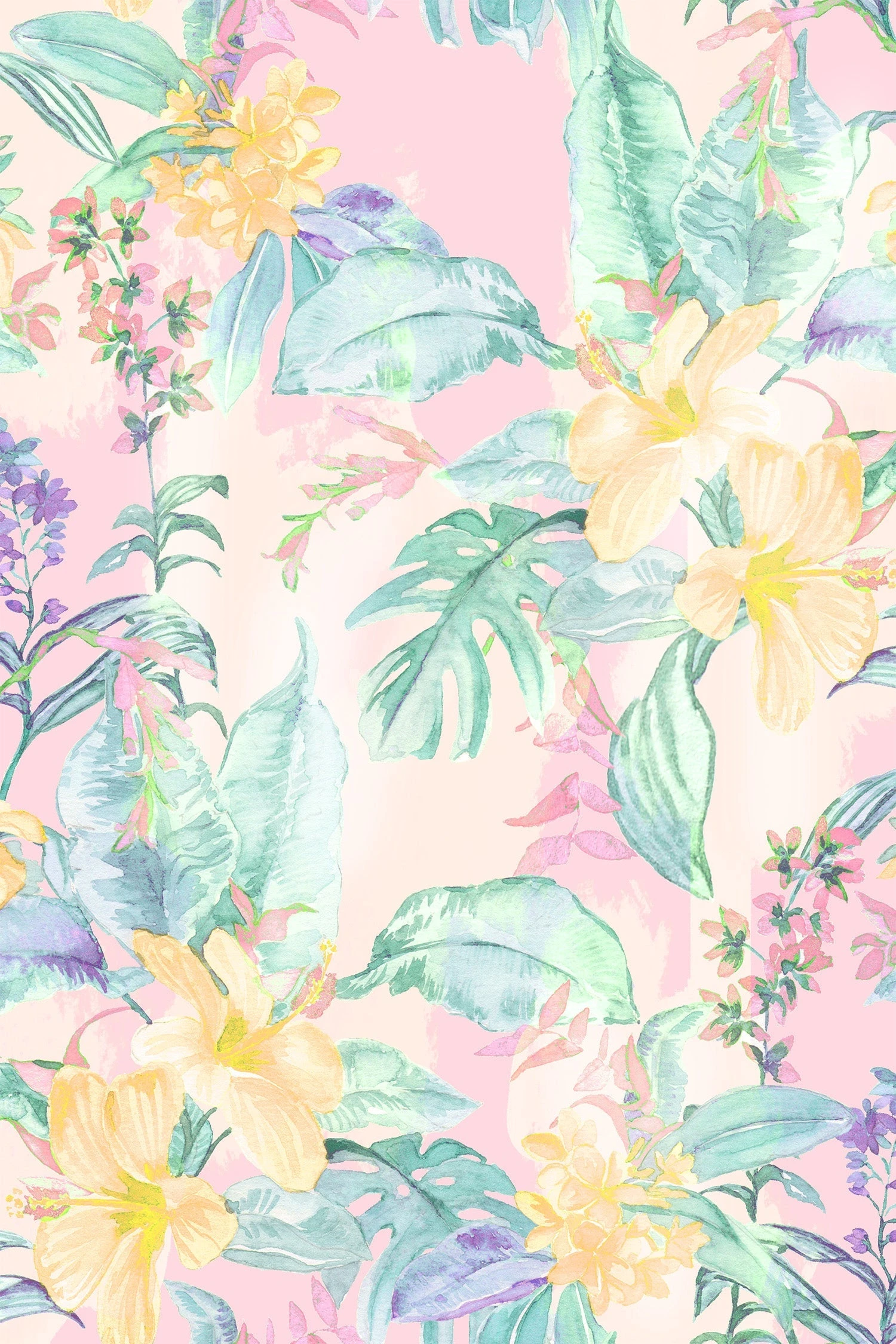 LoveShackFancy X Superga Men's Sneaker Sale 8 LoveShackFancy X Superga Men's Sneaker Sale